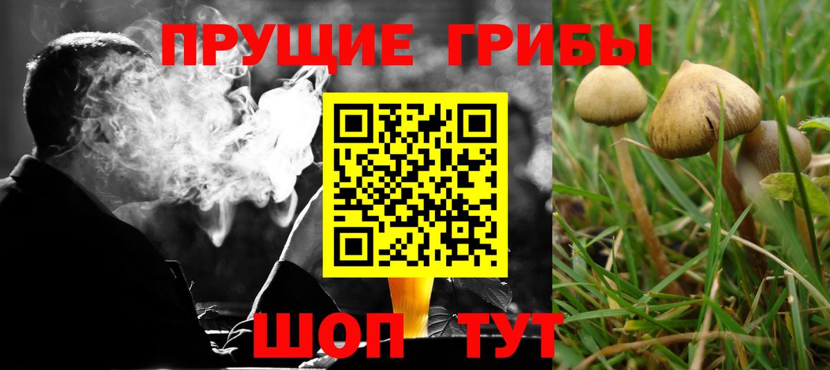 Галлюциногенные грибы мицелий  Вход с VPN  Галлюциногенные грибы ЛСД  Всеволожск 