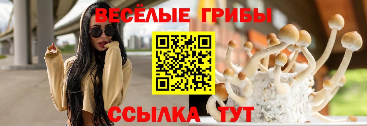 Галлюциногенные грибы прущие грибы Всеволожск